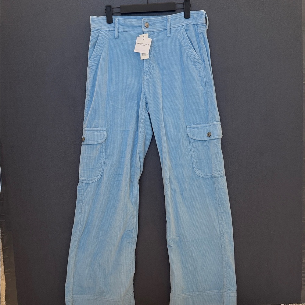 American Eagle Outfitters Light Blue Wide Leg Pants